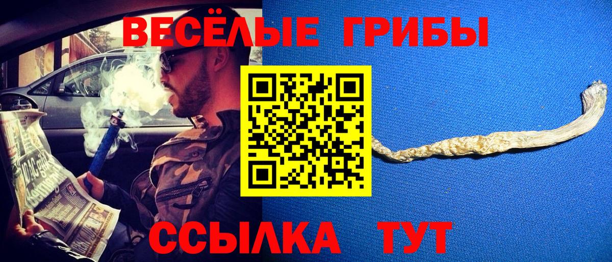 Псилоцибиновые грибы мухоморы Горно-Алтайск