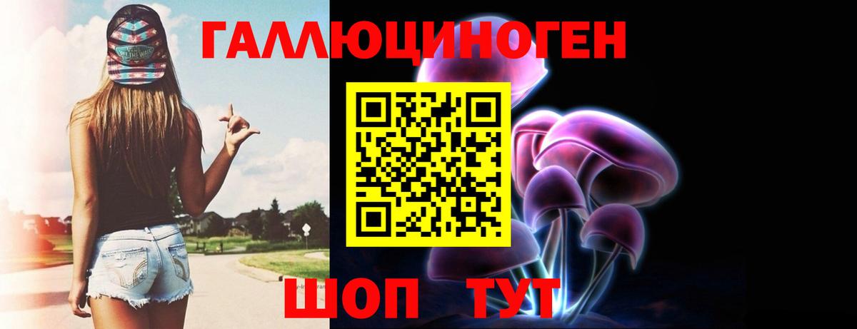 Псилоцибиновые грибы GOLDEN TEACHER  Вход с VPN  Горно-Алтайск 